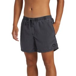 Quiksilver Herren Boardshort EVERYDAY SURFWASH VOLLEY 15