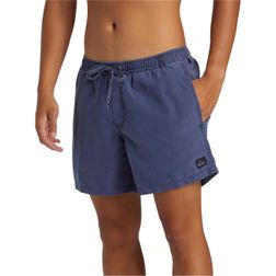 Quiksilver Herren Boardshort EVERYDAY SURFWASH VOLLEY 15