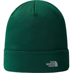 The North Face Herren Mütze NORM BEANIE