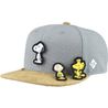 Bavarian Caps Cap Peanuts Transformer (Snapback)