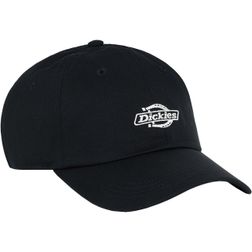 Dickies Cap Essential Dad Cap