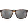 Oakley Herren Sonnenbrille HOLBROOK