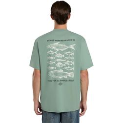 Dickies Herren T-Shirt LARYVILLE TEE