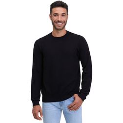 Ragwear Herren Sweatshirt ORIEN