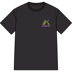 Quiksilver Kinder T-Shirt Peak Tee Youth